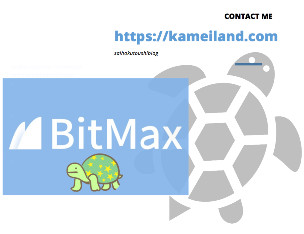緊急案件】思わぬコストに注意！仮想通貨取引所BITMAX（ビットマックス）で最大５５０００円を獲得する方法！ | りゆうの最北投資ブログ
